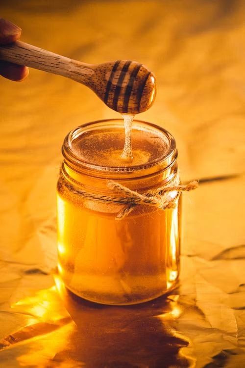 Organic Living — a core pillar of the Aadhi Shakthi exhibition in Coimbatore